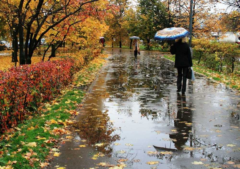 На выходных в Воронеже будет дождливо