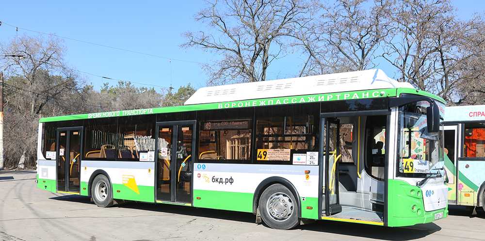 На воронежские улицы вышли 15 новых низкопольных автобусов