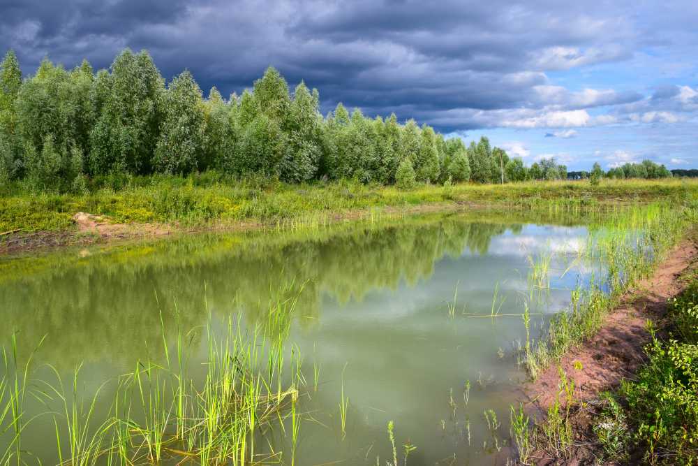 В Воронеже до конца рабочей недели будут идти проливные дожди 