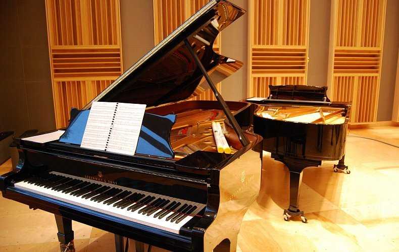 Нововоронежская школа искусств ищет рояль за 3,5 млн. рублей