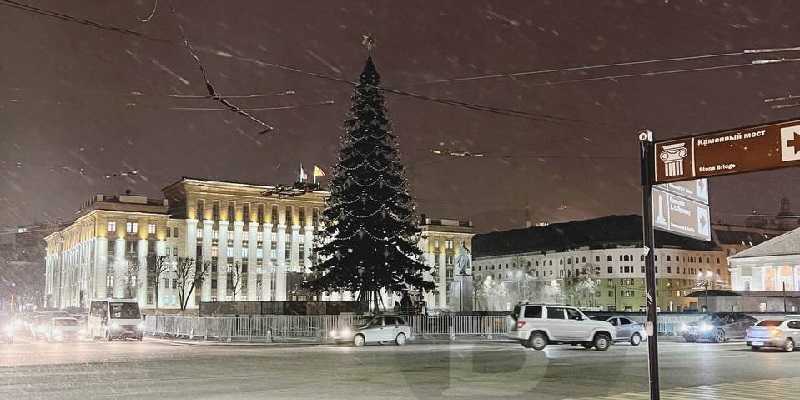 В Воронеже установили главную городскую елку 