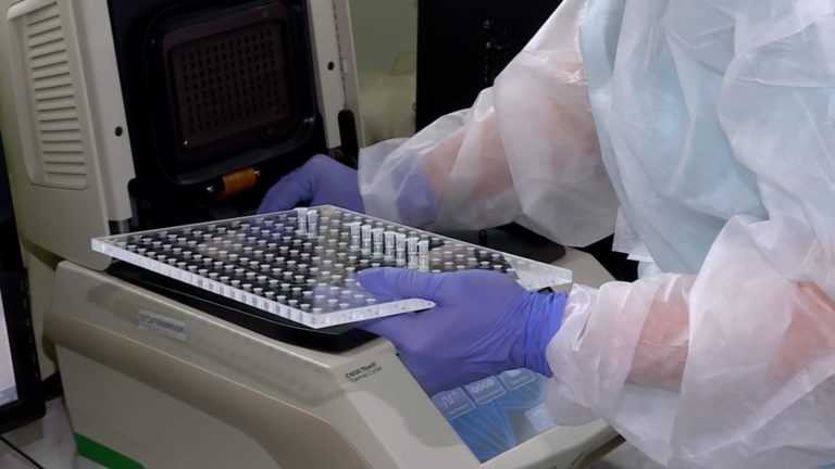 Число тестов на коронавирус в регионе превышает норму почти в два раза