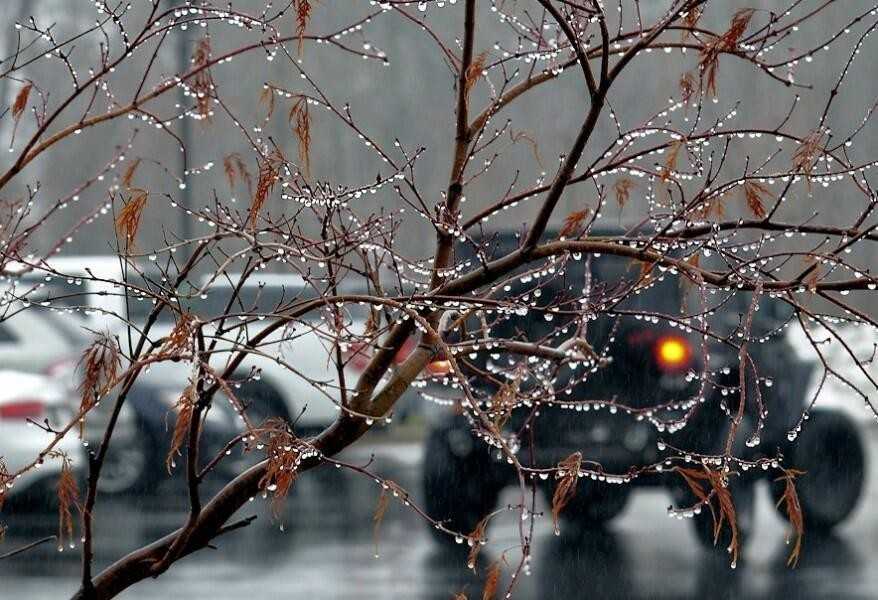 Воронежцев ожидает дождливое и туманное Рождество 