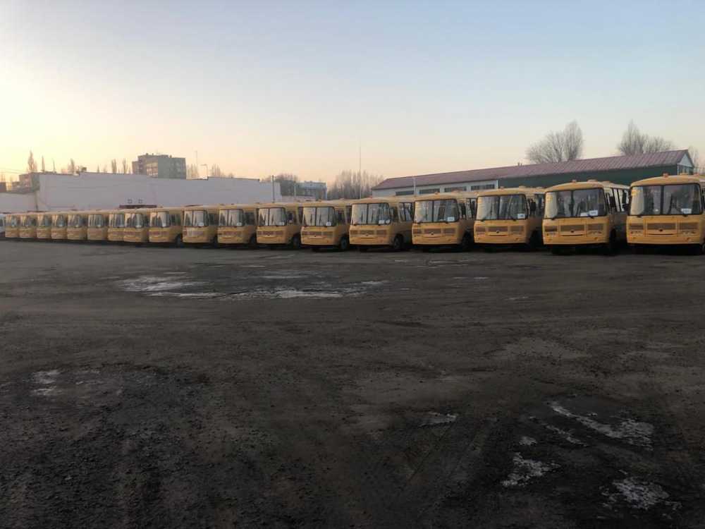 Воронежская область получит 138 школьных автобусов 