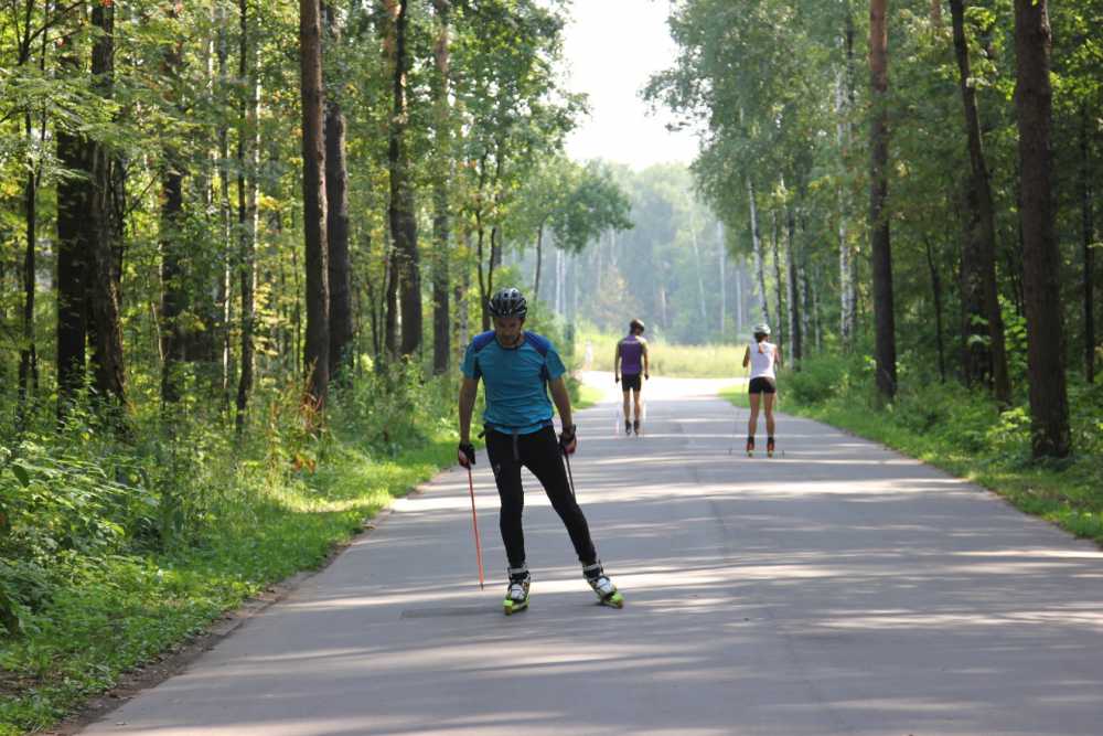 В Павловске появится новая лыжероллерная трасса