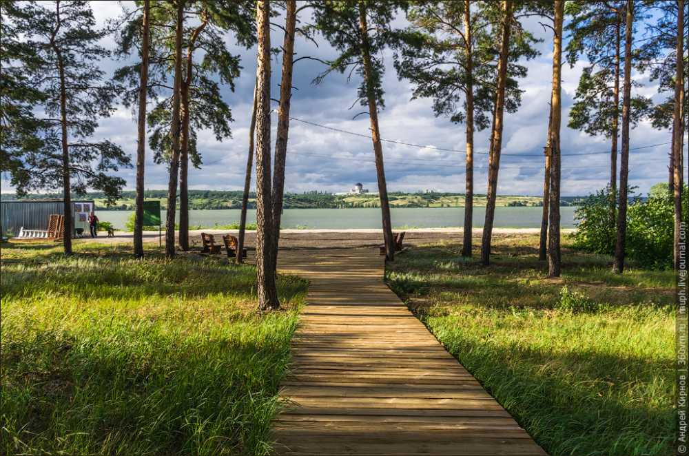 В Воронеже обсудили перспективы экологического туризма