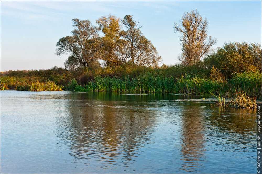 В Воронежской области расчищают русло реки Икорец 