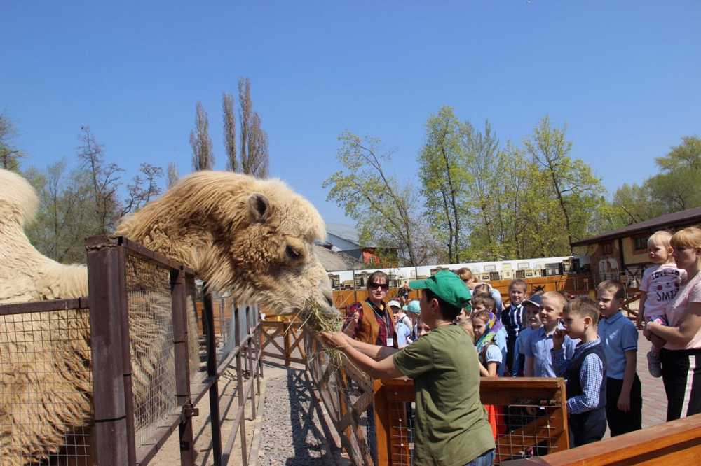 В Воронежском зоопарке пройдет  «Соломенный фуршет»