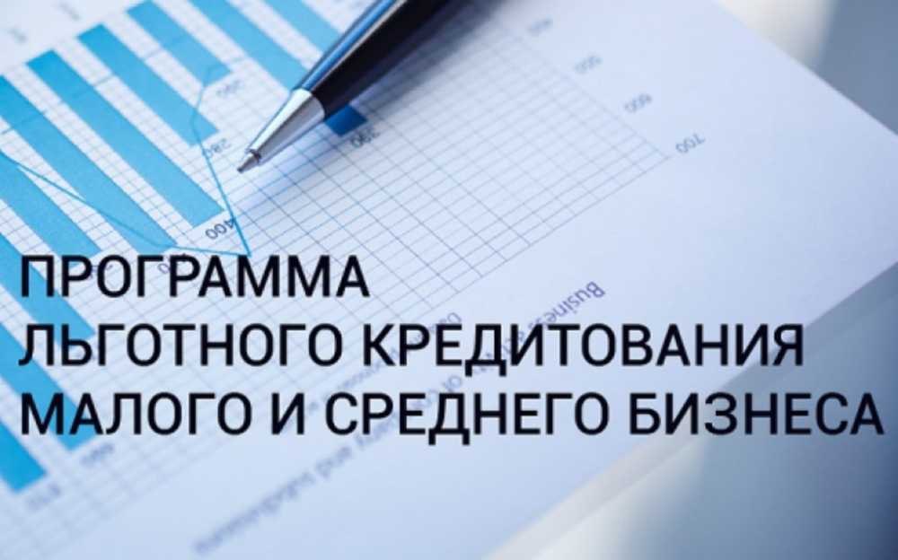 В России заработает новая программа льготного кредитования для МСП