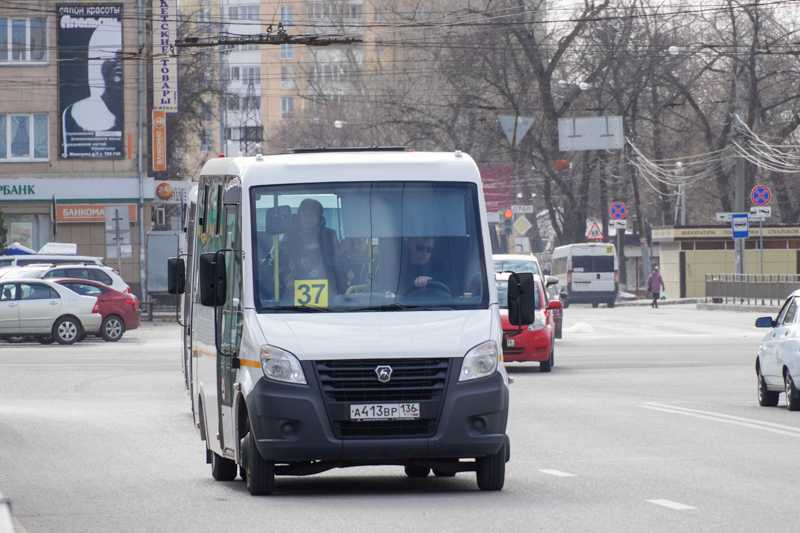 Транспорт воронеж новости. Воронеж транспорт. Городской транспорт Воронеж. Город и транспорт Воронеж. Выделенные полосы для общественного транспорта в Воронеже.