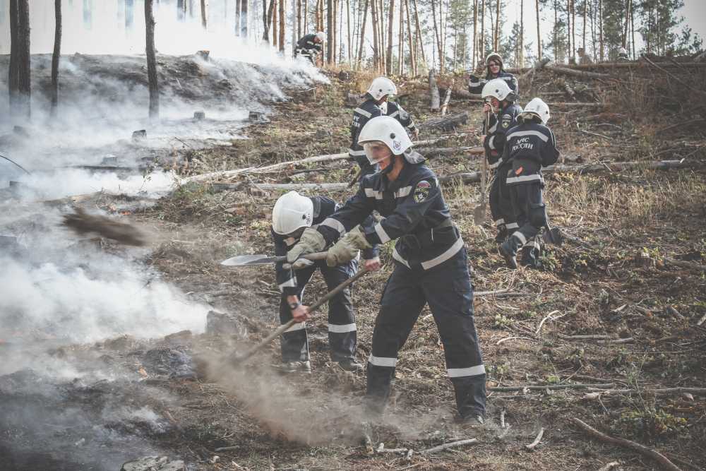 Пожарные и спасатели  региона обратились  к воронежцам
