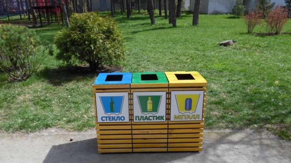 В Воронеже до 2021 введут систему раздельного сбора мусора