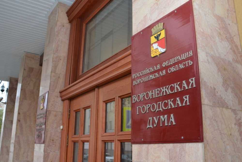 В Воронежскую городскую Думу поступило более 1500 обращений   