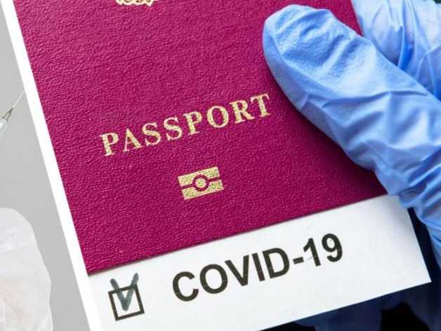 В Госдуме поддержали инициативу введения ковидных паспортов