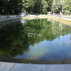 В Воронеже начали чистить озеро в центральном парке