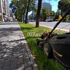 Воронежцам создают хорошее настроение с помощью красивых газонов