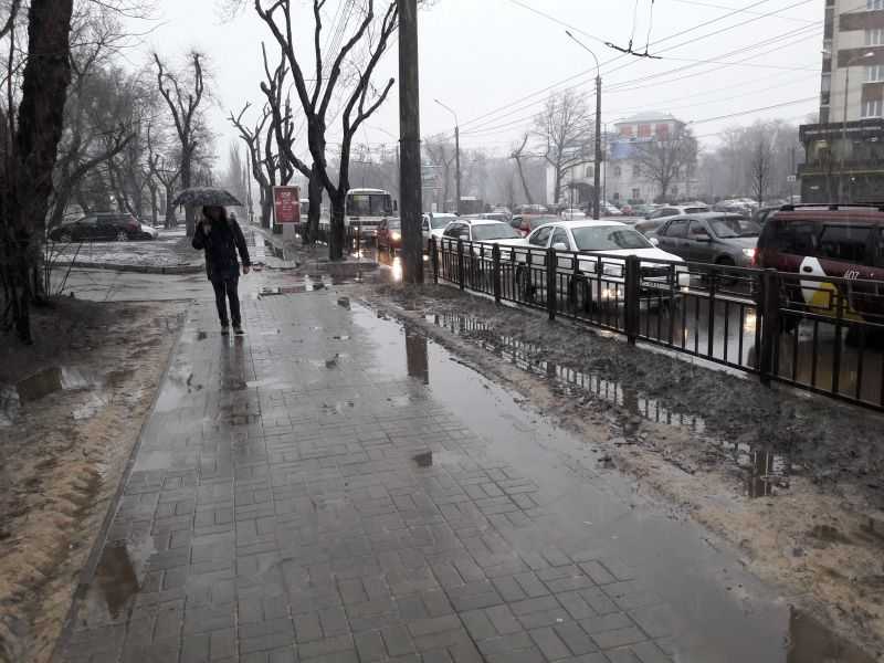В ближайшие дни  в Воронеже будет облачно и дождливо