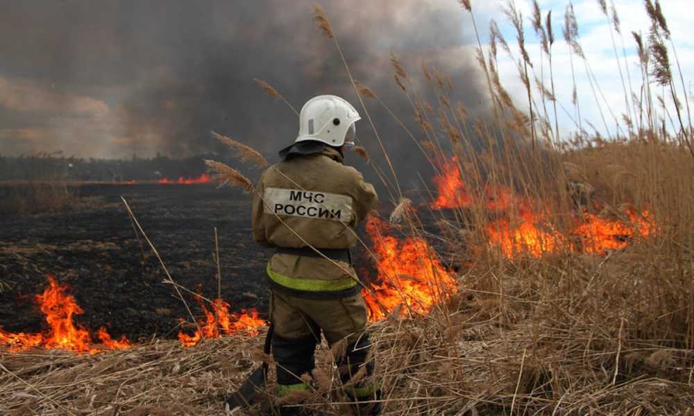 Спасатели предупреждают граждан о пожароопасном периоде