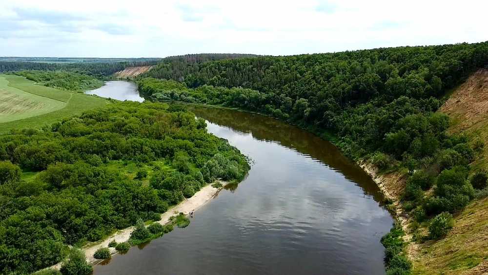 Специалисты-экологи проводят исследование качества воды Воронежского водохранилища и 10 рек