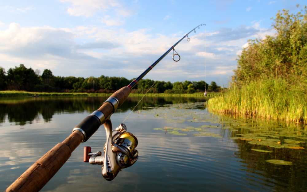В Воронежской области введены ограничения на ловлю рыбы