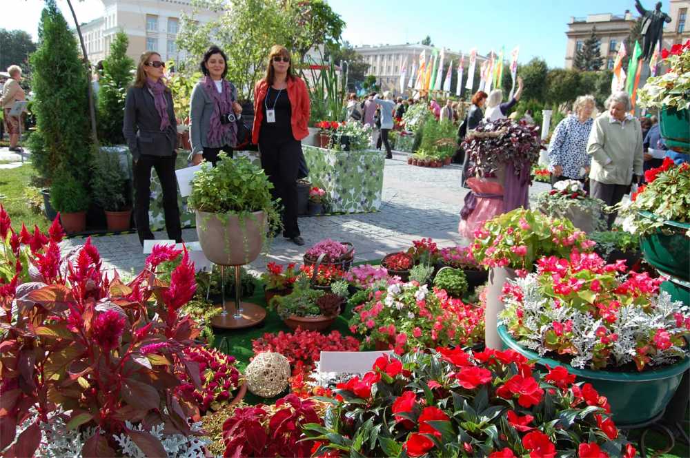 В Новой Усмани готовятся принять ярмарку фестиваля «Город-Сад»