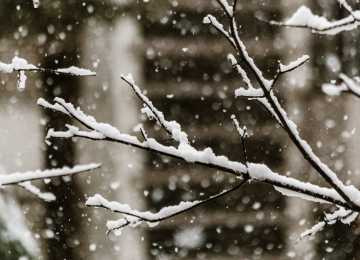 В Воронежской области ожидают налипание мокрого снега на провода