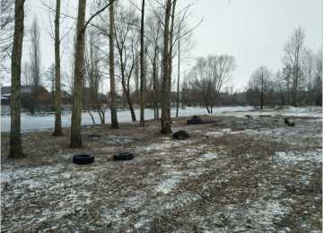 В Воронежской области на территории памятника природы вырубили около 50 деревьев 