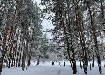 Последняя неделя зимы в Воронеже будет снежной 