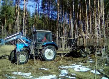 В Воронежской области началась массовая расчистка леса 