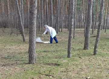 Воронежские парки проверят на наличие комаров и клещей 