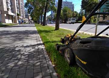 Воронежцам создают хорошее настроение с помощью красивых газонов