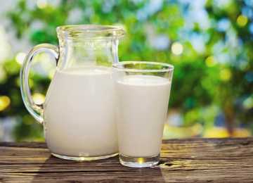 В Воронежской области произведено более 385 тыс.тонн молока с начала 2024 года