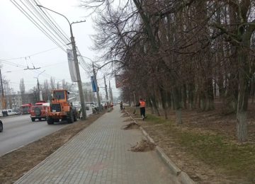 Месячник по благоустройству начался в городе Воронеже