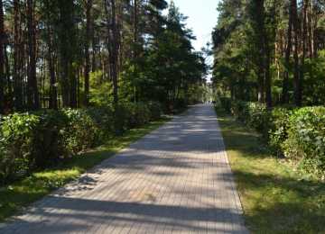 Концессионера для обновления парка «Танаис» за 415 млн рублей определили в Воронеже