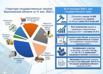 В Воронежской области за 11 месяцев 2022 года проведено более  14 600 конкурентных закупок 