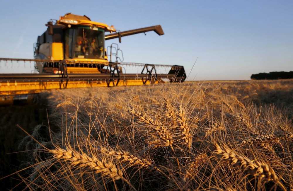 Воронежские аграрии собрали первый миллион тонн зерна