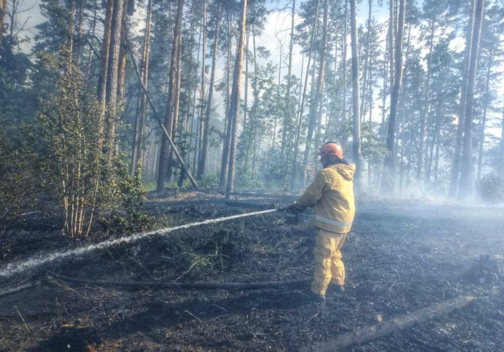 В Воронеже потушили первый в сезоне лесной пожар