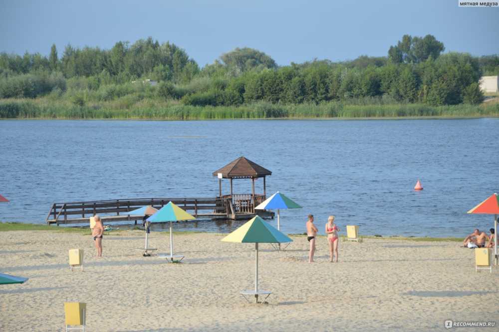 В Воронеже пригодны для купания только три пляжа 