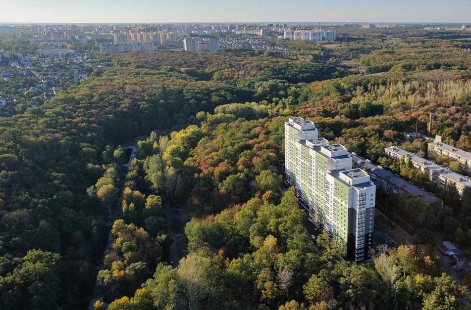 Воронежские экологи добились увеличения «зеленого пояса» вокруг Воронежа